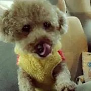 ぐっちゃん　プロフ必読☆購入前コメ下さいの画像