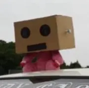 たかの画像