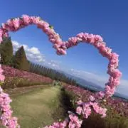 りょーにーの画像