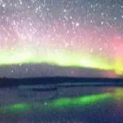 Leluの画像