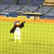 こうの画像
