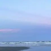 とと（プロフィール必読）の画像