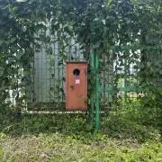 らはもにの画像