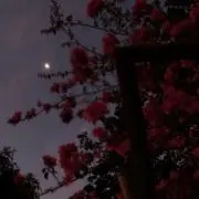 ^^