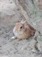 ゆカナ