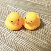 Ahiruの画像