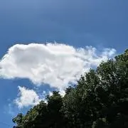 YAMAの画像