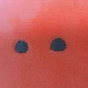 もちごめの画像