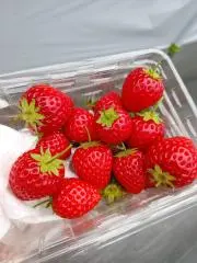 Fumi