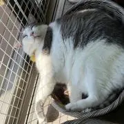 に
