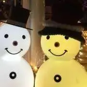 きのこの画像