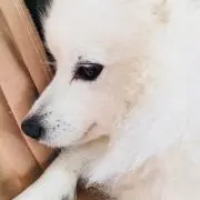 Marina☆プロフ必読