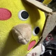 mi *の画像