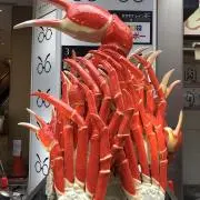 カニの画像