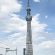 りんの画像