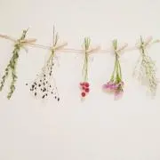 もりの画像