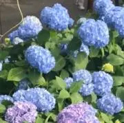 ゆん꙳★*゜
