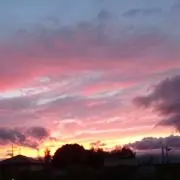 すーの画像