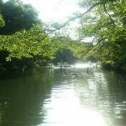 とっことっこの画像