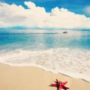 バイソン