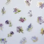 みさおの画像
