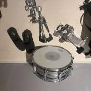 えびの画像