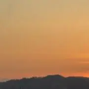 癒しの貝殻の画像