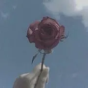 Baro.の画像