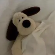 すーの画像