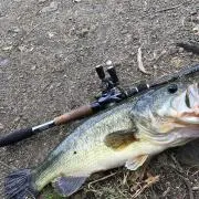 ボブマーリー
