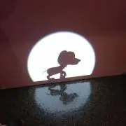 ぴぴの画像