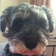 R!の画像