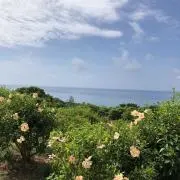 タキ