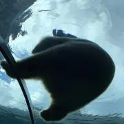 たいぴーすふるの画像