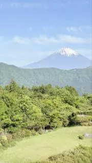 ののの画像