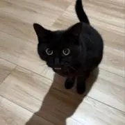 soraの画像