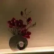 みらん【基本、水曜日発送になります。】