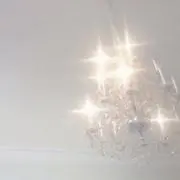 まの画像