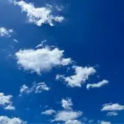 ひつじ⭐︎即購入OK☺︎匿名配送です⭐︎の画像