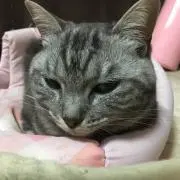 ユキーラ