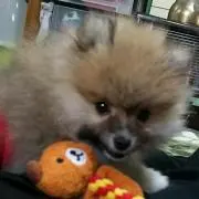 へろっちのぉ局様