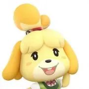 Yoppy