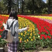 ayaka66の画像