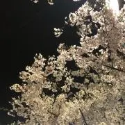 Aの画像