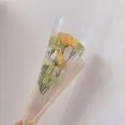 monの画像