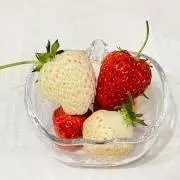 ぽぽすけ