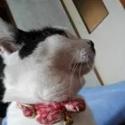 たかちゃん❤