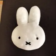nicoの画像
