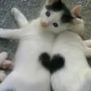 さえちゃんハウス✩°。⸜(*˙꒳˙* )の画像
