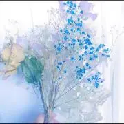 なちの画像